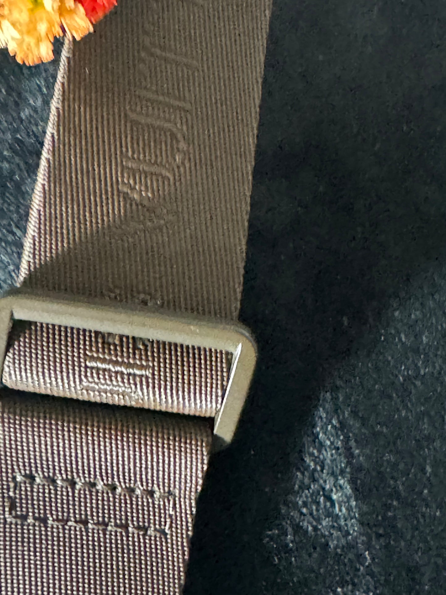 Olav PM in Ebene